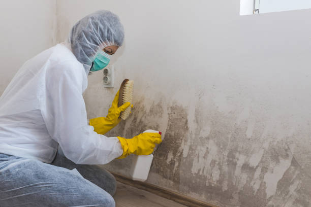 Best Airborne Mold Testing  in El Portal, FL