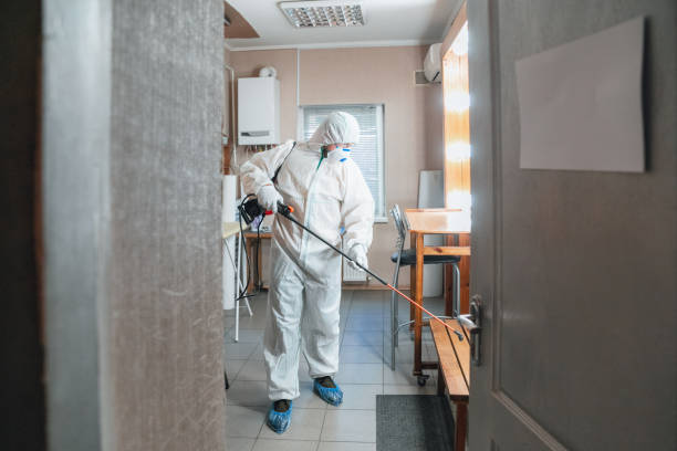 Best Environmental Consulting for Mold Prevention  in El Portal, FL