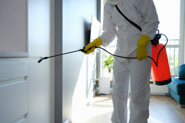 Environmental Consulting for Mold Prevention in El Portal, FL