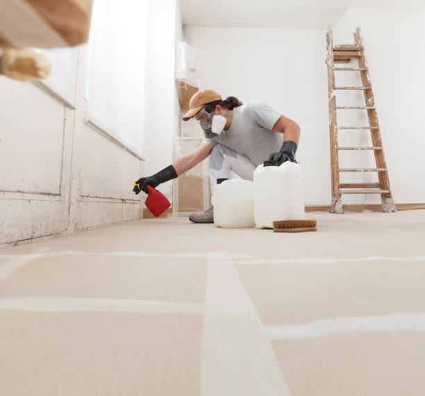 Best Emergency Mold Remediation  in El Portal, FL