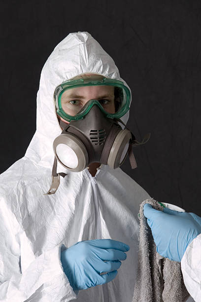 Best Water Damage & Mold Remediation  in El Portal, FL